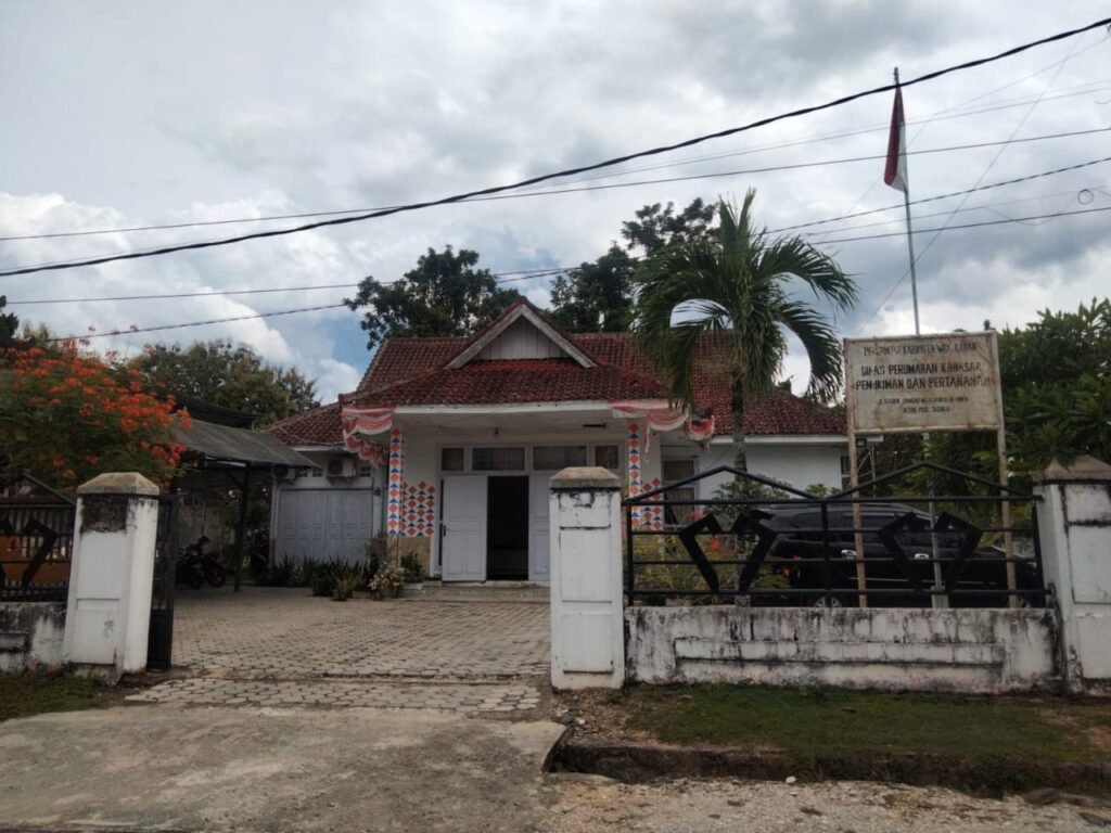 WhatsApp Image 2025-11-20 at 16.08.16